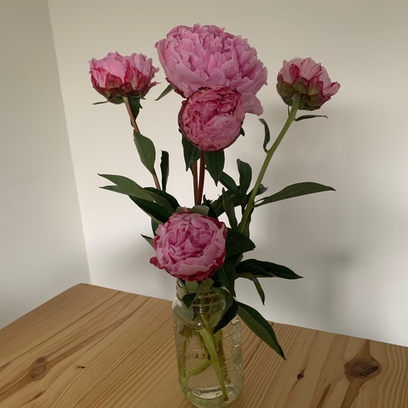 Meet your Posher, Wenni - Picture 1 of 1